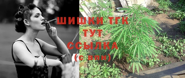тгк Алексин