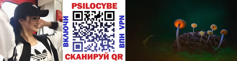 Псилоцибиновые грибы ЛСД  Купить где  Сосновка 